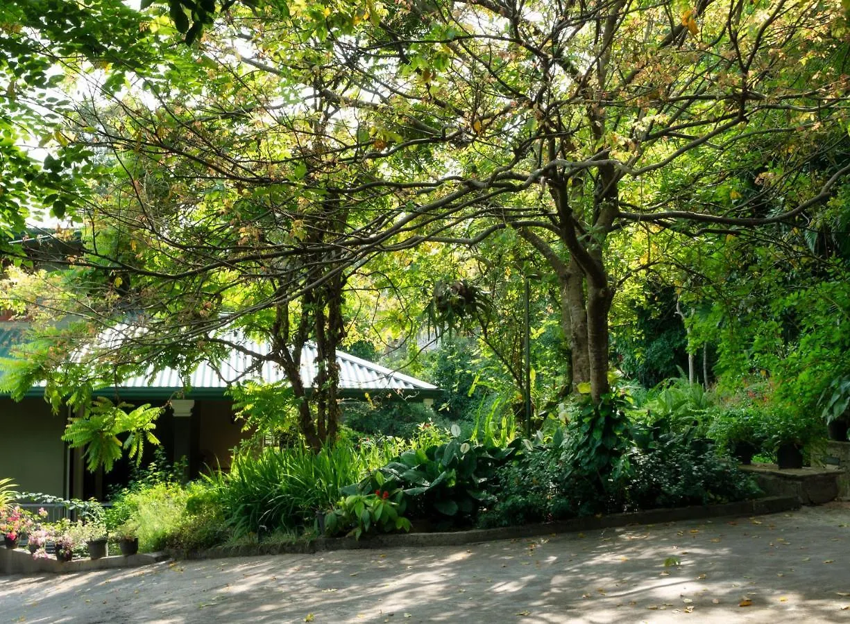 Gasthuis Kandy Tree Tops
