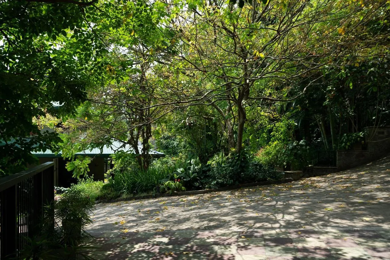 Kandy Tree Tops Guest house