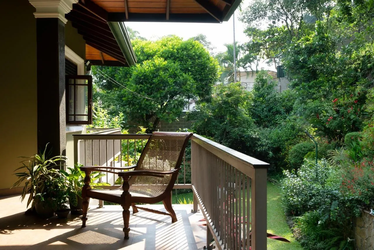 Kandy Tree Tops