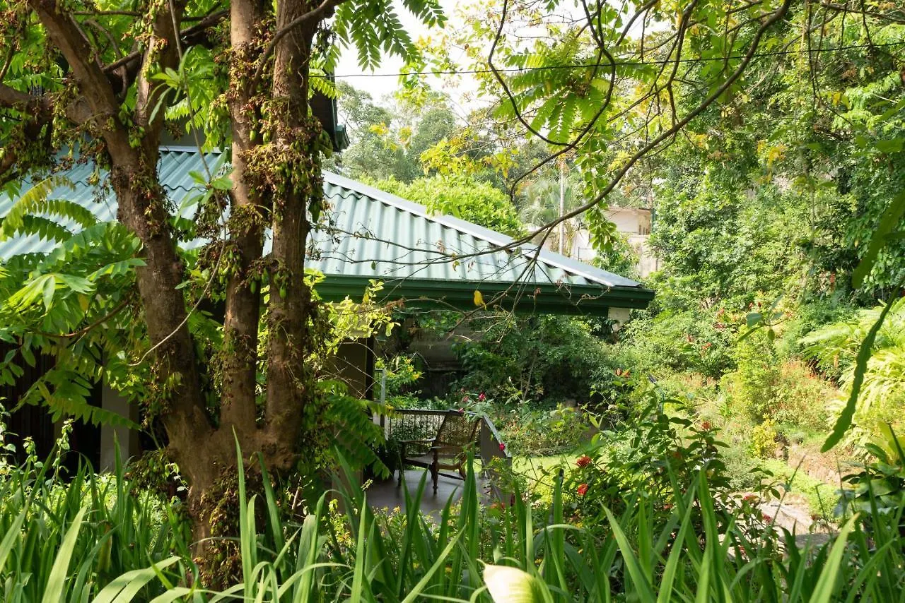 Kandy Tree Tops Guest house