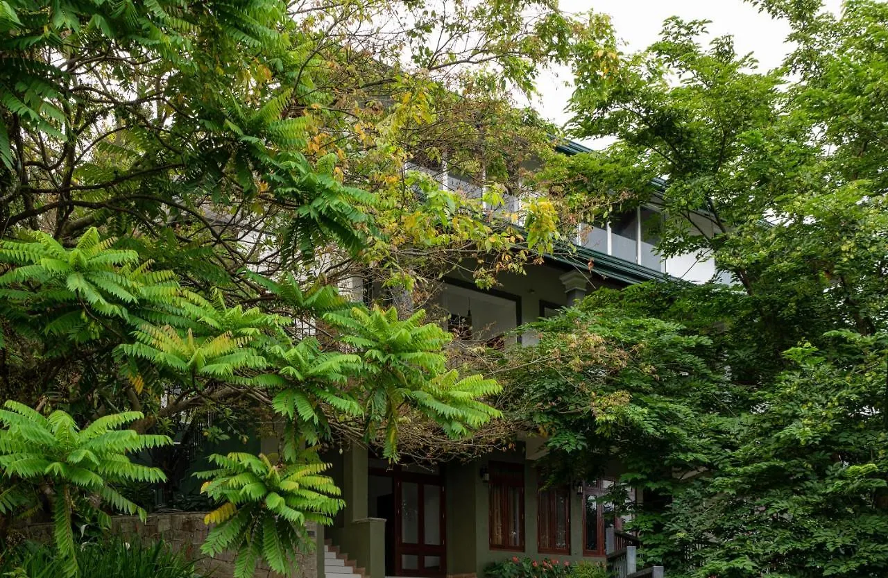 Kandy Tree Tops